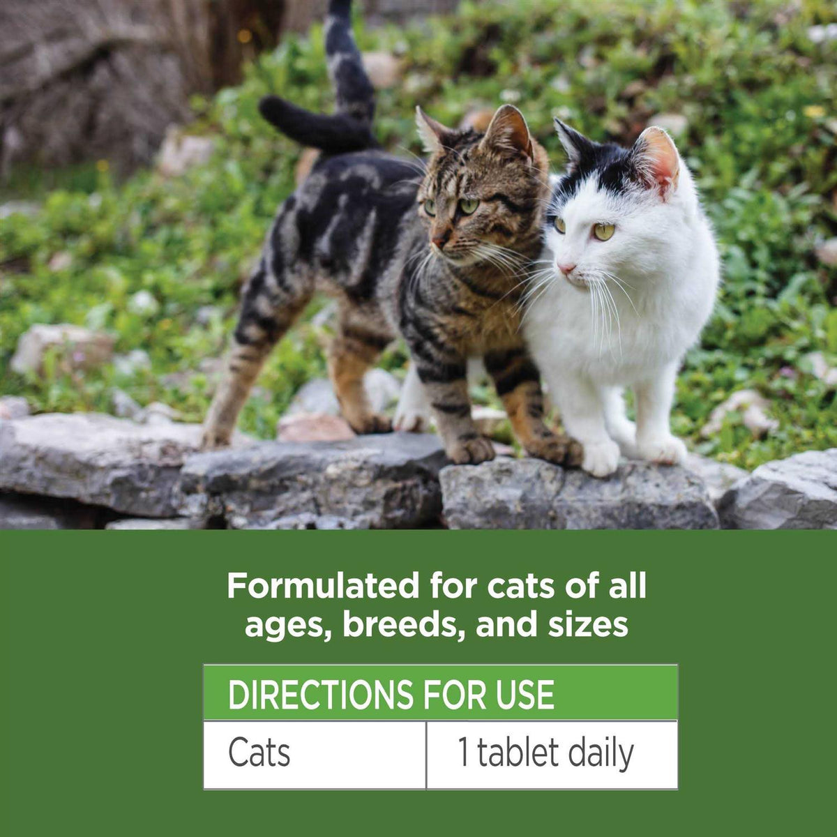 Oral Flea & Tick Chews for Cats 120 ct K239040