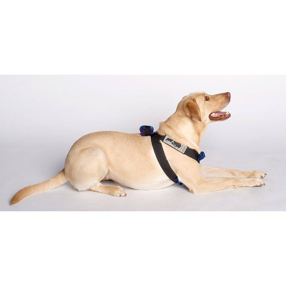 Blue Travel Safe Harness C4711