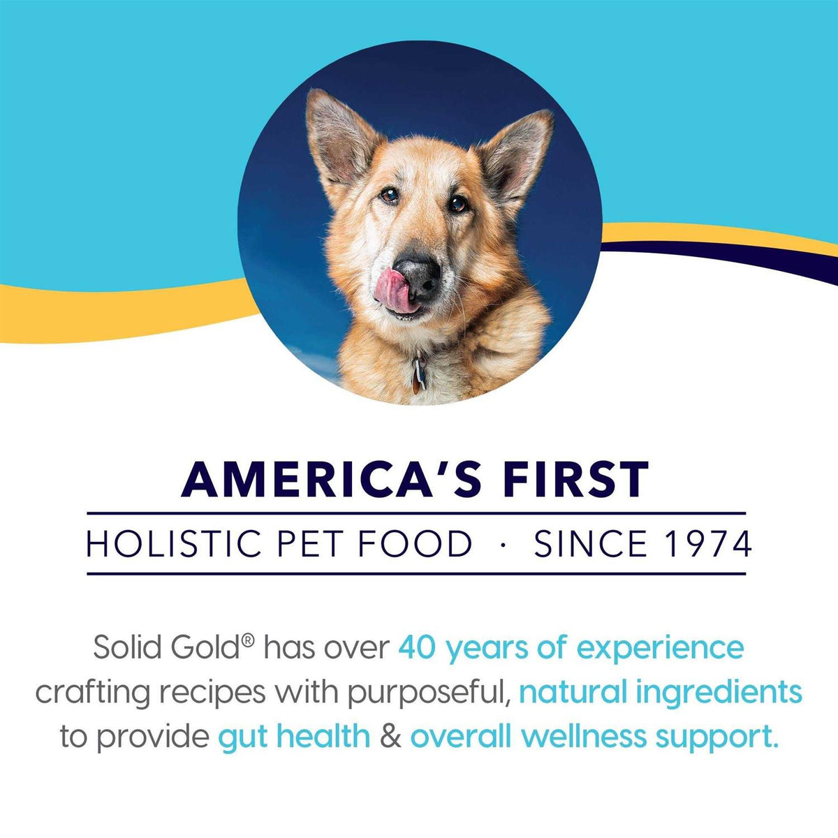 Chicken Bone Broth Dog Food Topper W5847