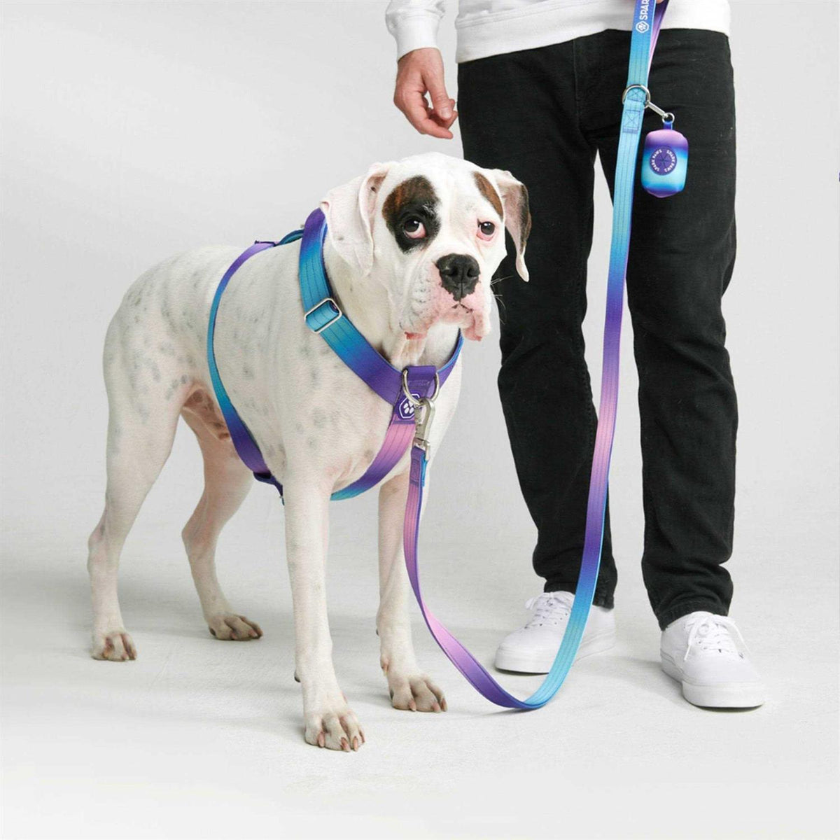 No-Pull Dog Harness L533848