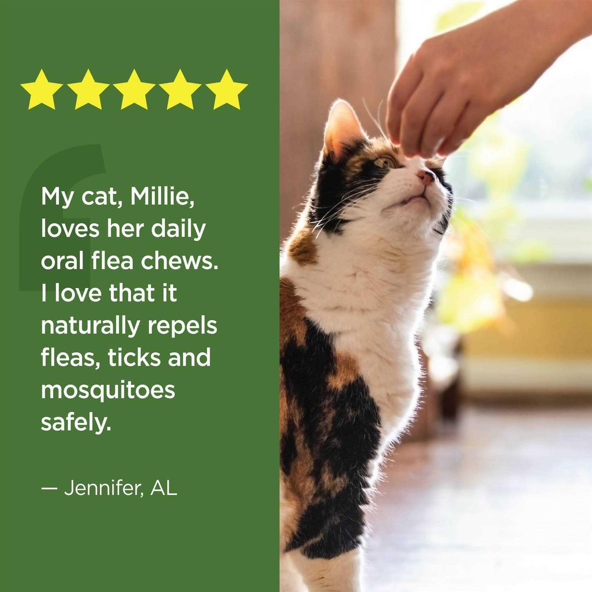 Oral Flea & Tick Chews for Cats 120 ct K239040