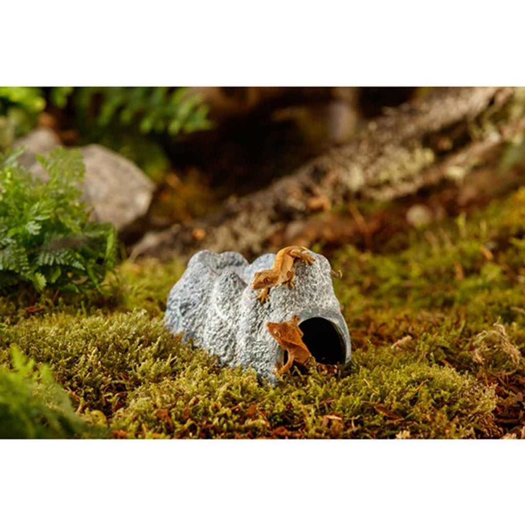 Wet Rock Cave T57972