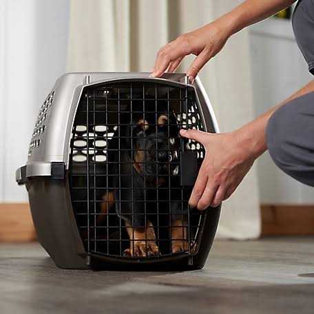 Medium Gray Pet Carrier R668