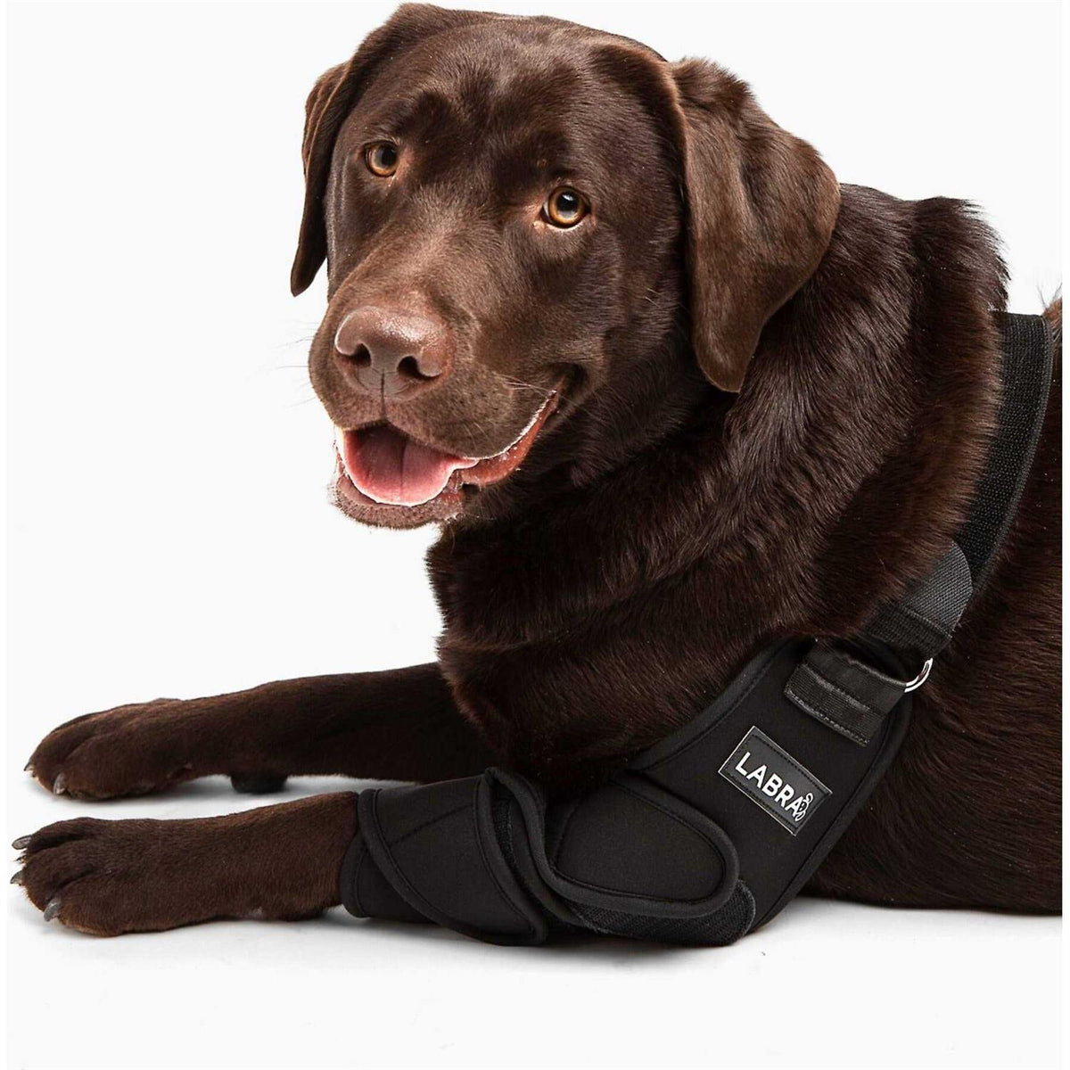 Canine Shoulder Elbow Brace G179