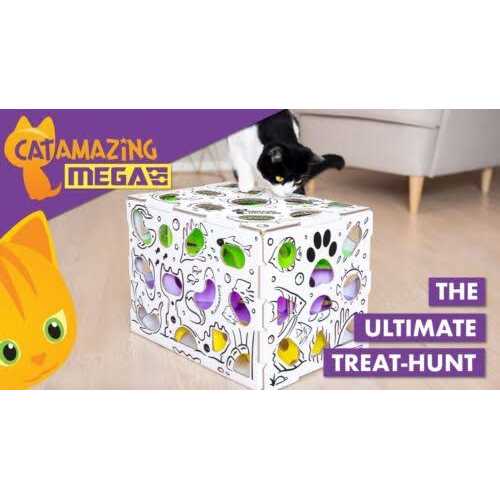 Cat Treat Puzzle Box Z240