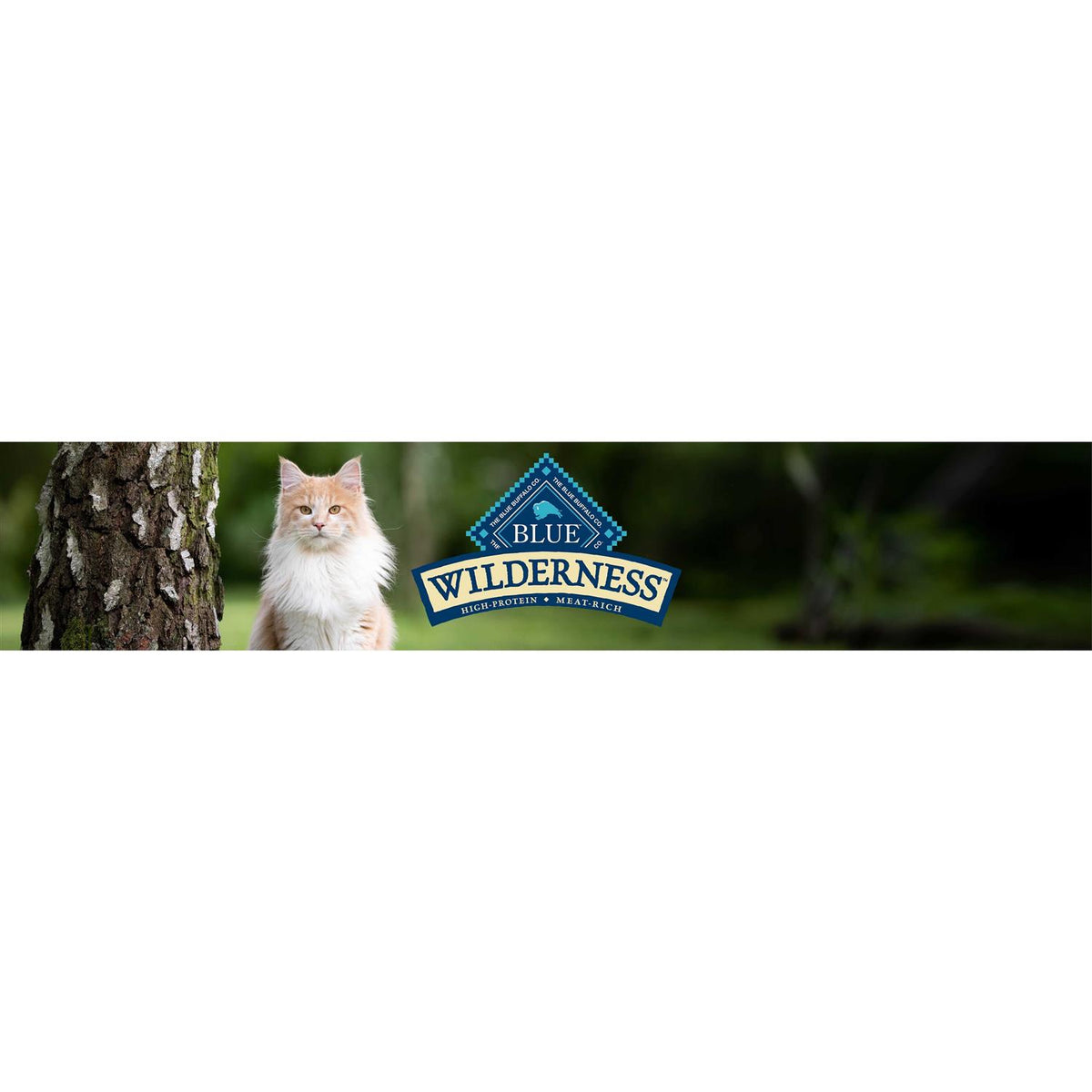 Crunchy Cat Treats T5306