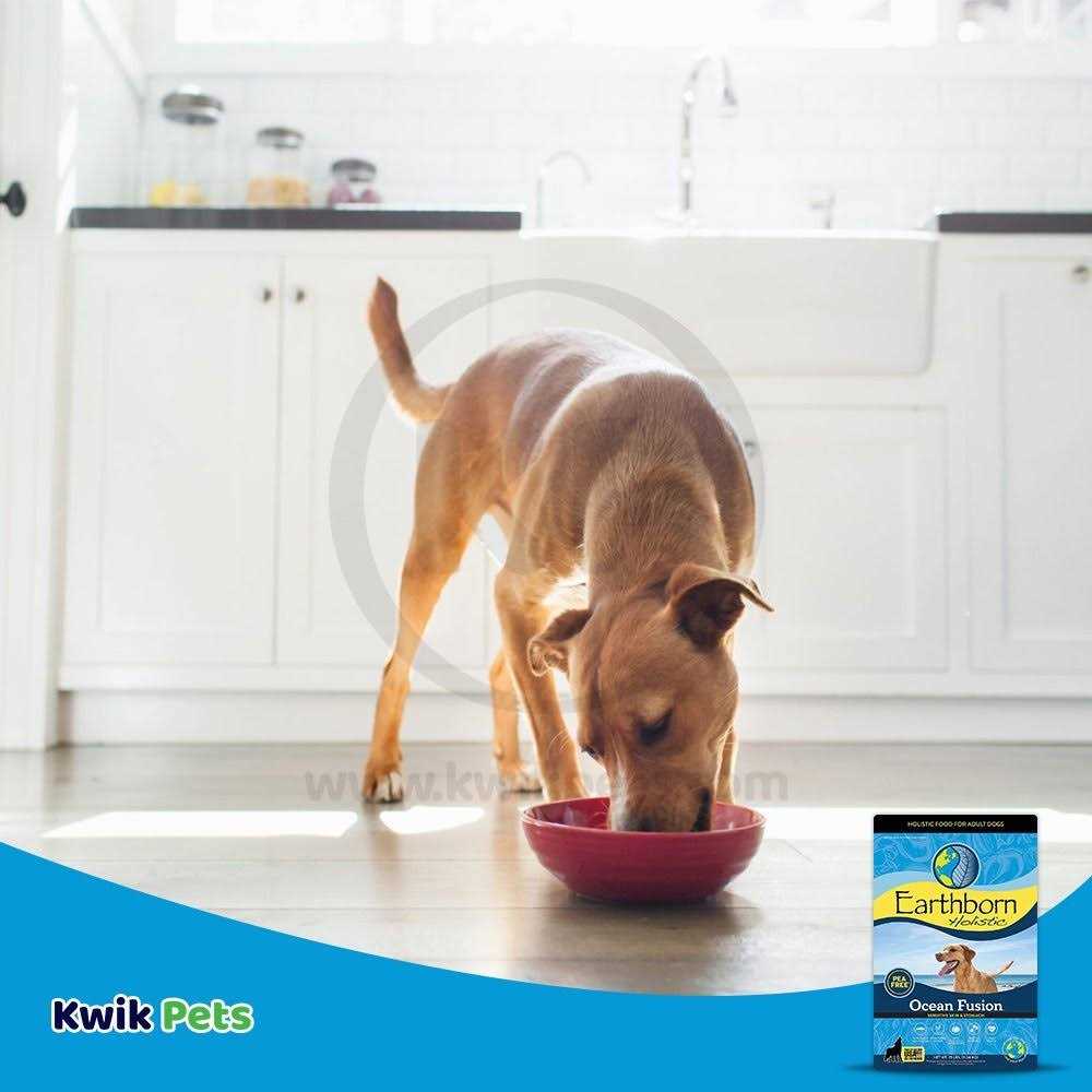 Ocean Fusion Dry Dog Food L101547