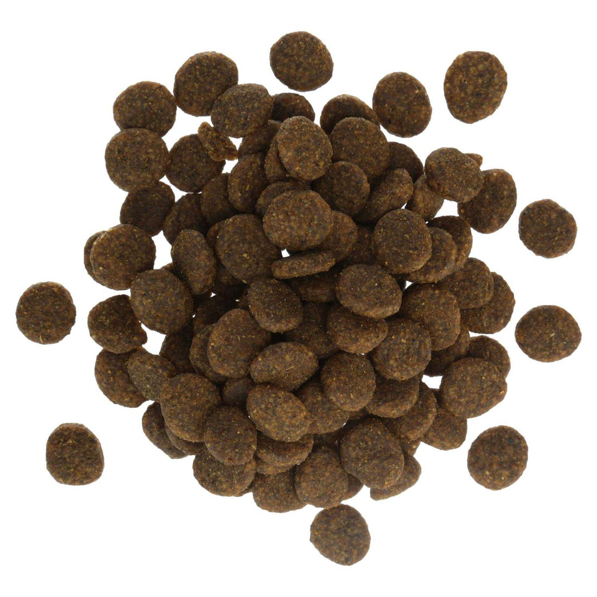 Salmon & Sweet Potato Recipe Dog Food X3713