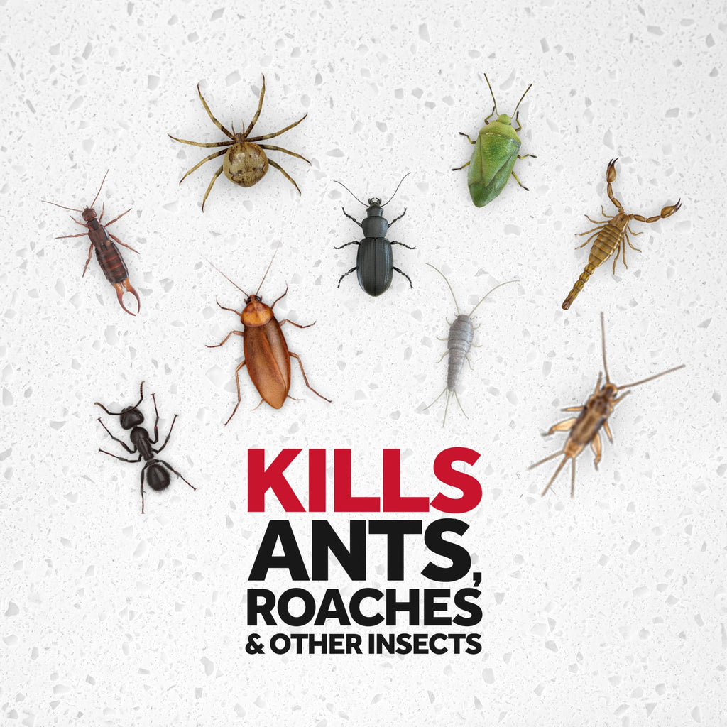 Ant and Roach Killer Spray 17.5 oz 2 Count N70258