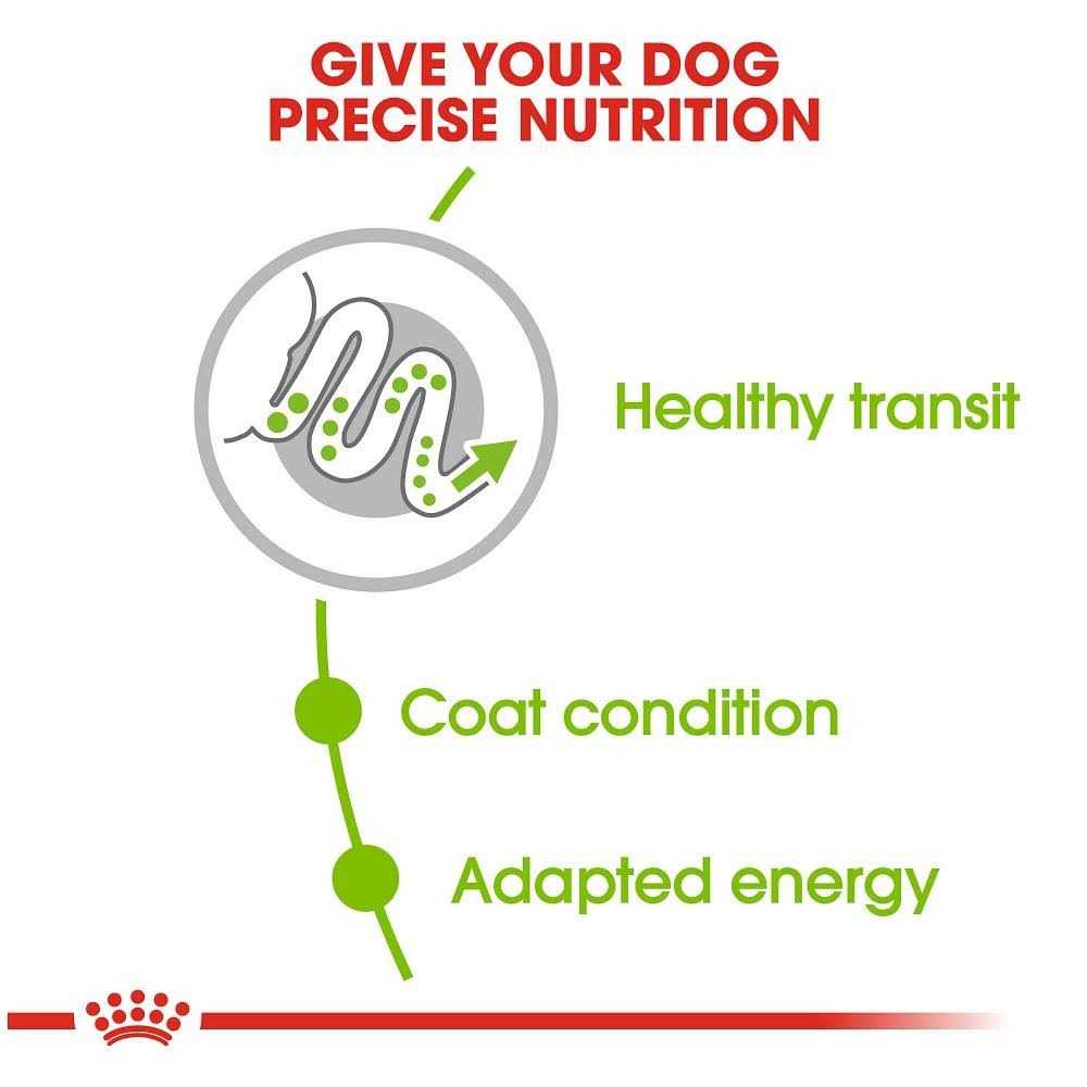 X-Small Adult Dry Dog Food W88112