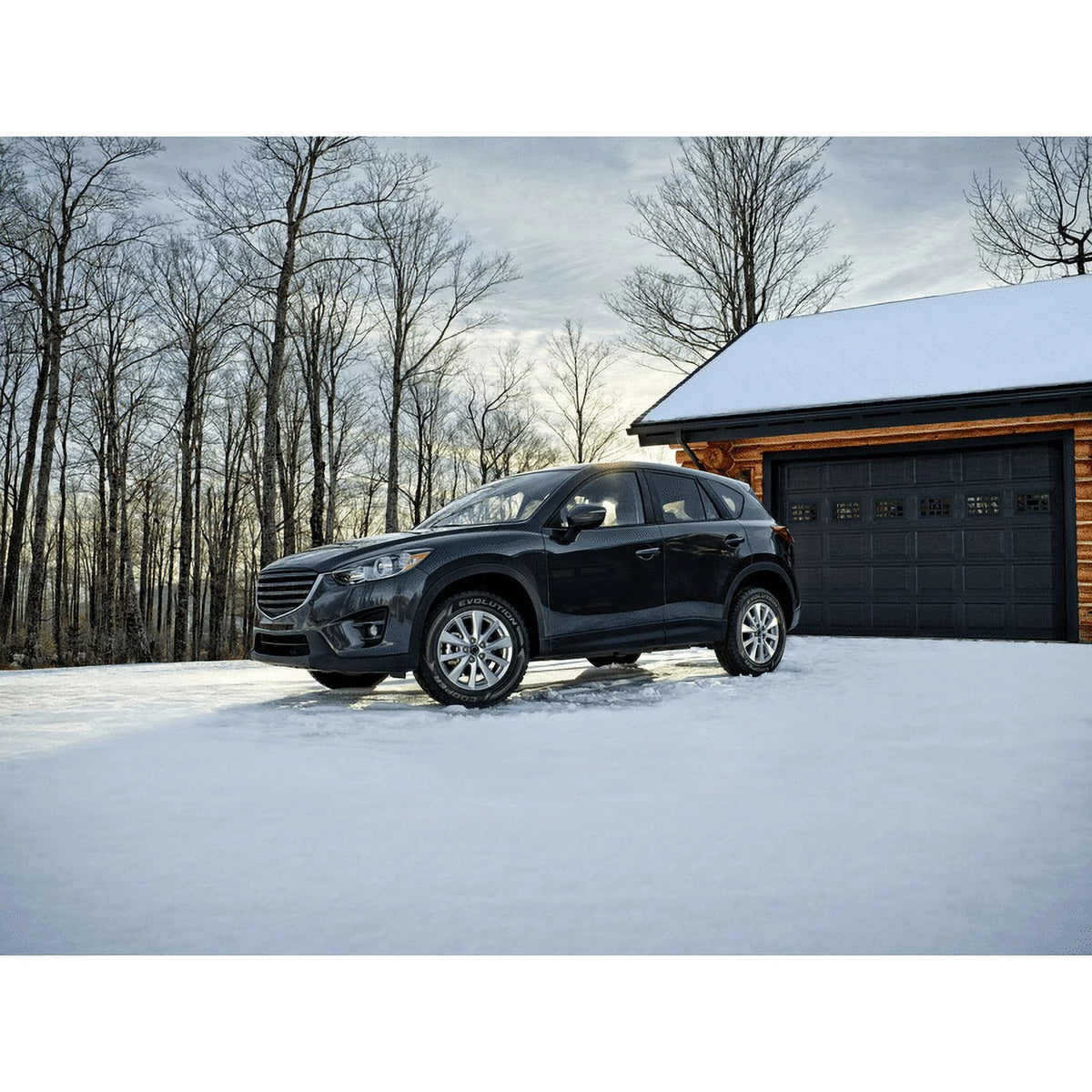Winter Tire 205/55R16XL 94H W147