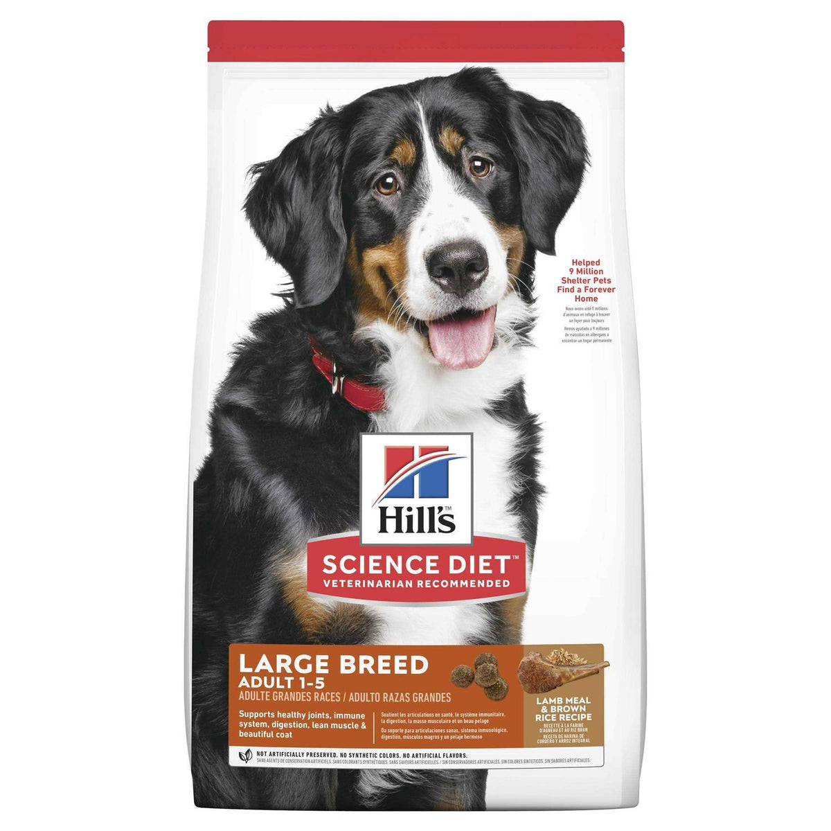 Adult Large Breed Lamb Meal & Brown Rice Dry Dog Food G533000