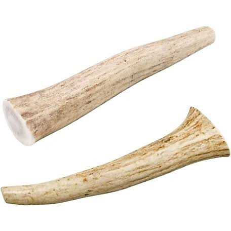 All Natural Whole Deer Antler Dog Chew Treats Q16021