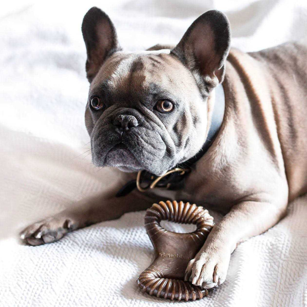 Dental Chew Dog Toy U780