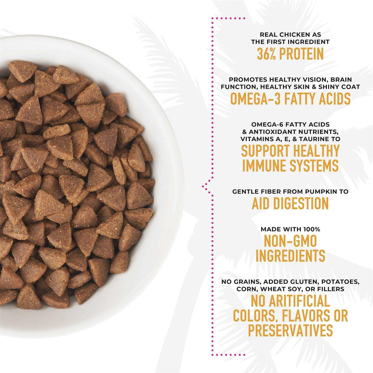 Chicken & Turkey Meal Recipe Dry Cat Food A210