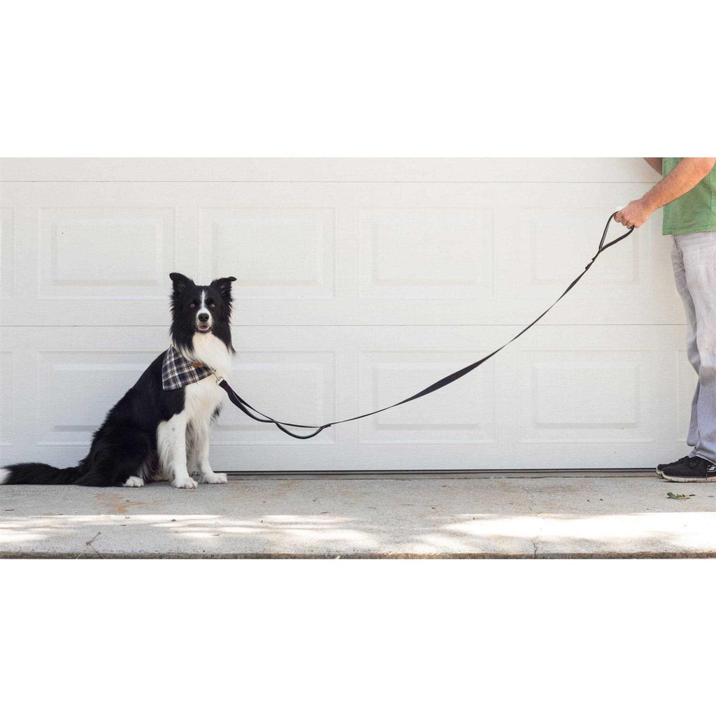 Heavy Duty Dog Leash Double Handle P952728