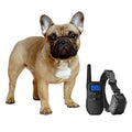 Shock Collar for Small Dogs with Remote C7156