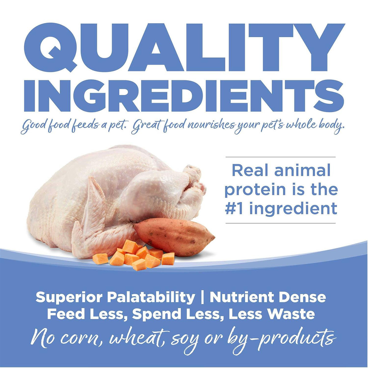 Grain-Free Turkey & Sweet Potato Dry Dog Food D45171