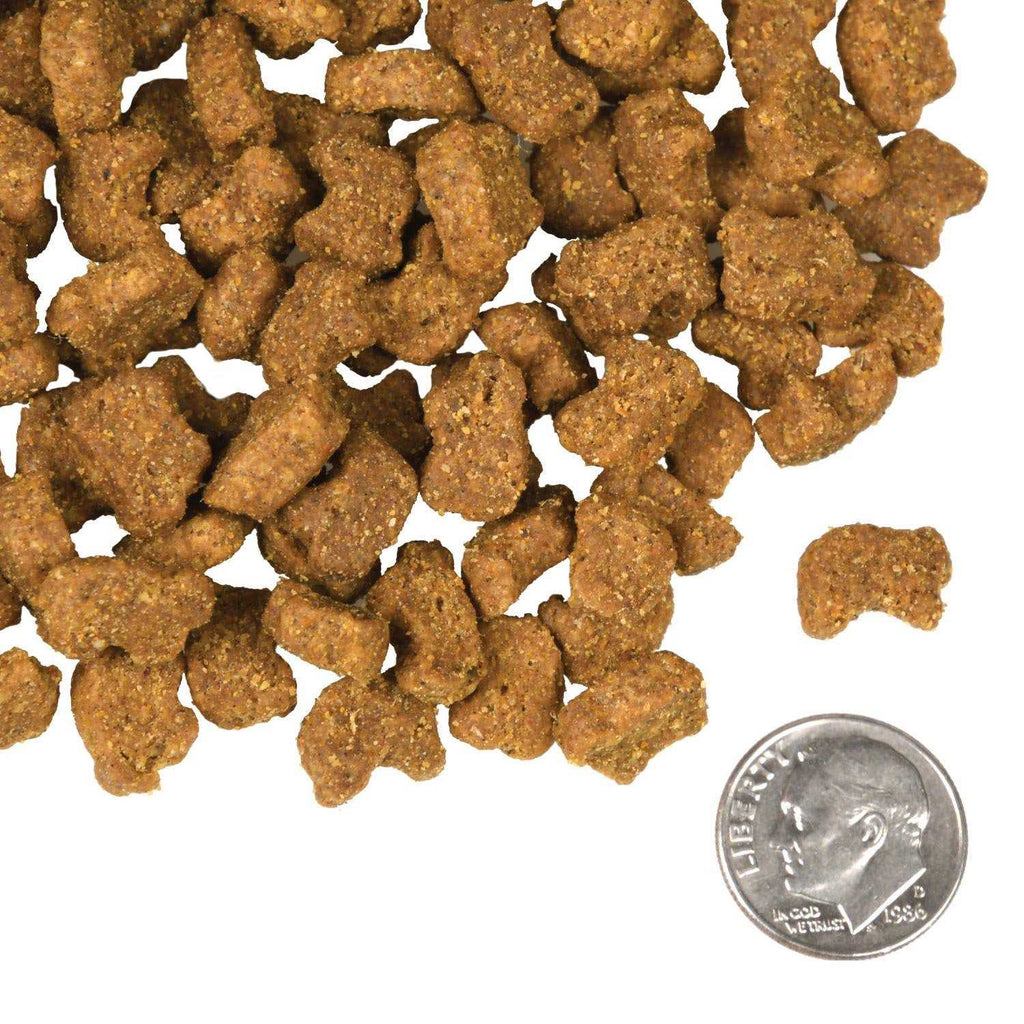 Lamb & Lentil Dog Food R472