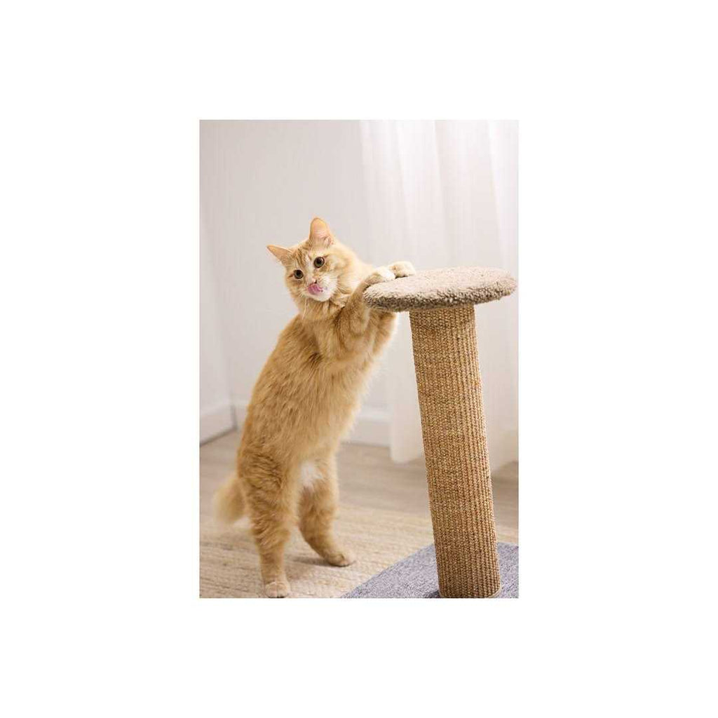 Scratch Post E36598