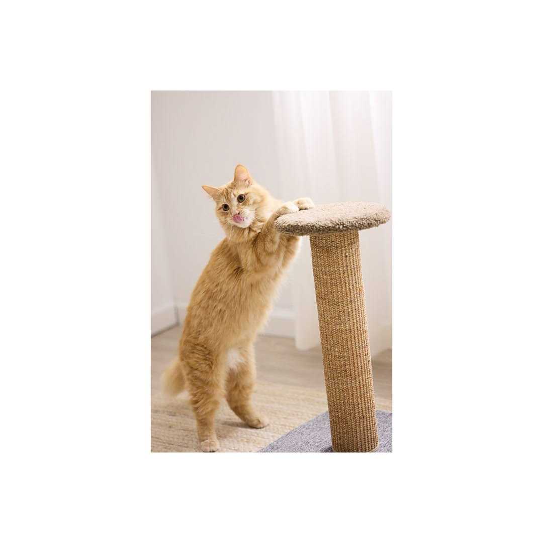 Scratch Post E36598