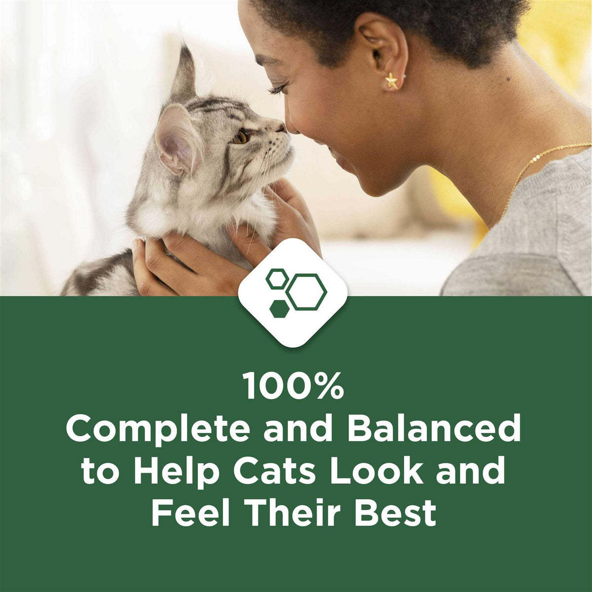 Indoor Dry Cat Food A8779