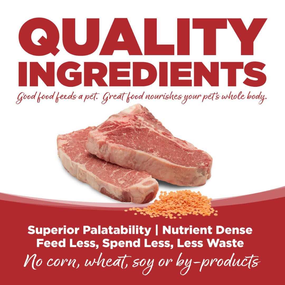 Beef & Red Lentils Grain Free Dry Dog Food C84070