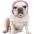 Dog Ear Cover for Bathing and Grooming L893