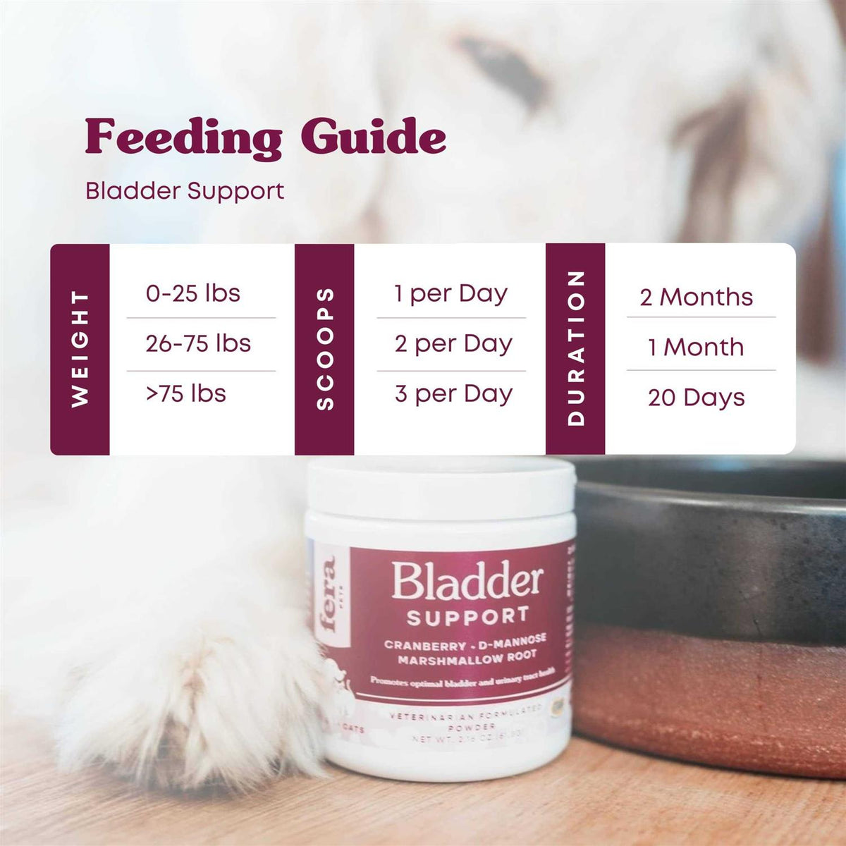 Bladder Support for Dogs and Cats I4833