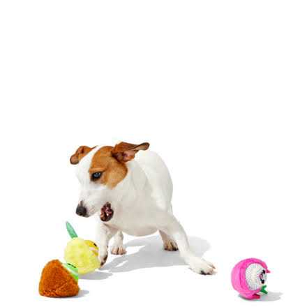 Dog Toys Squeaker Ball Toys Y589