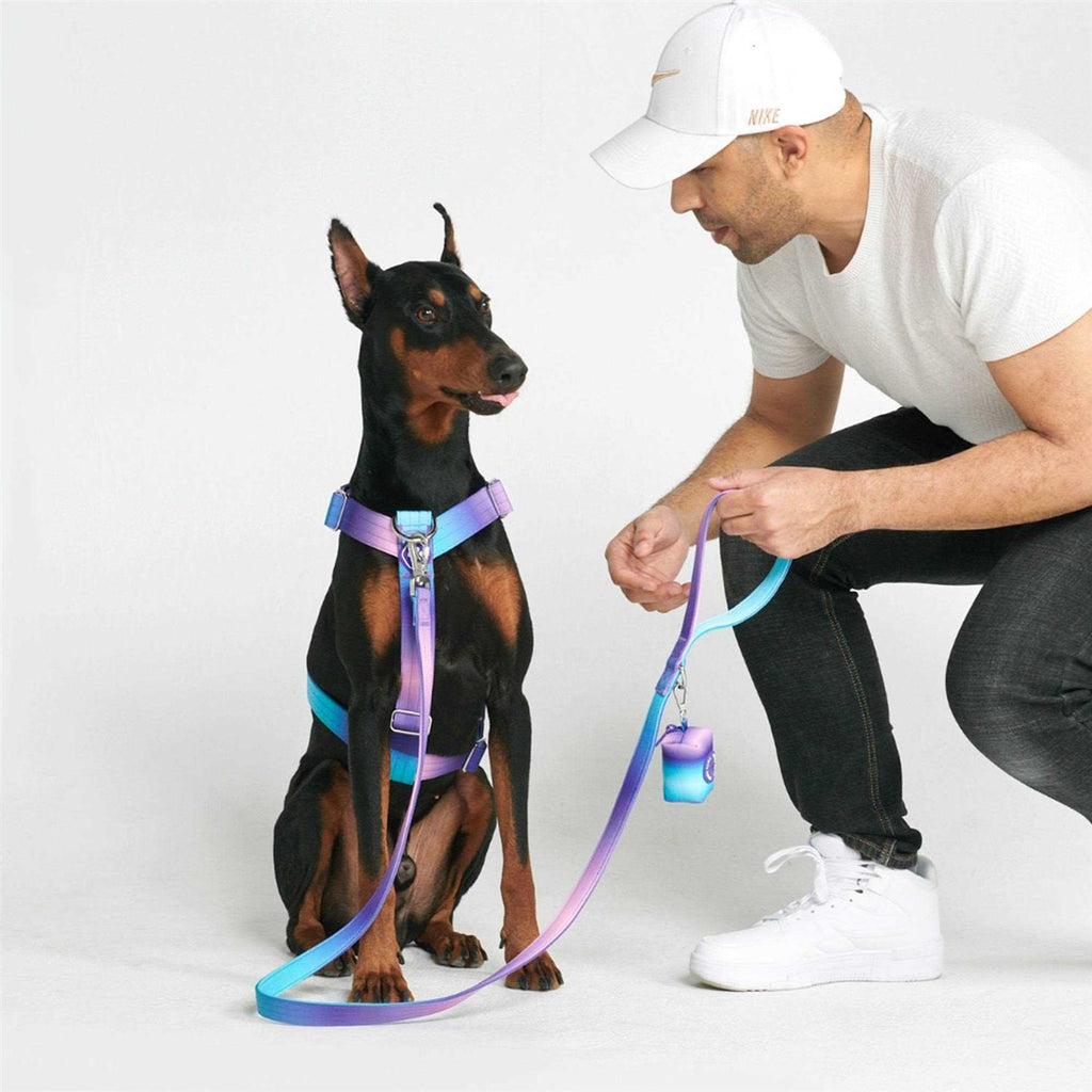 No-Pull Dog Harness L533848