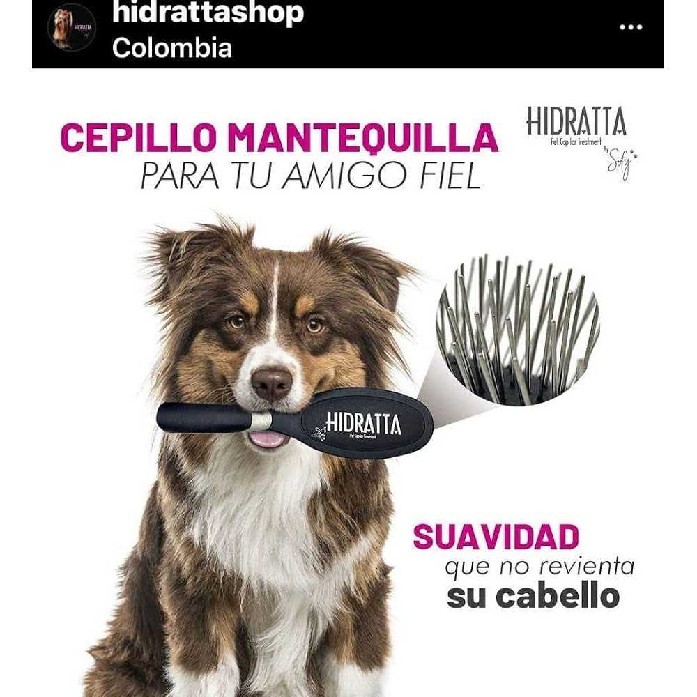 Pet Hairbrush D640