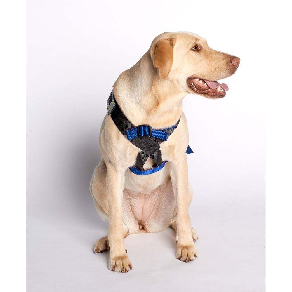 Blue Travel Safe Harness C4711