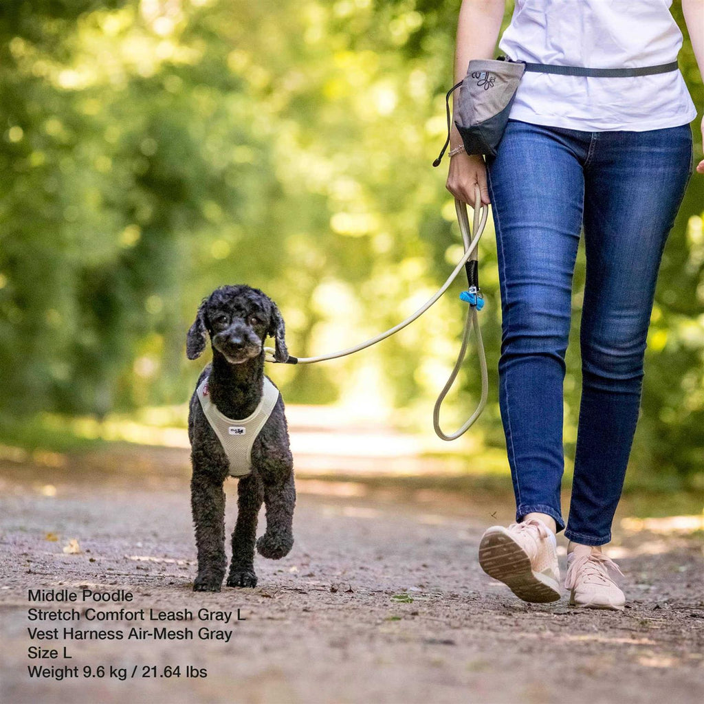 Comfort Leash E83563