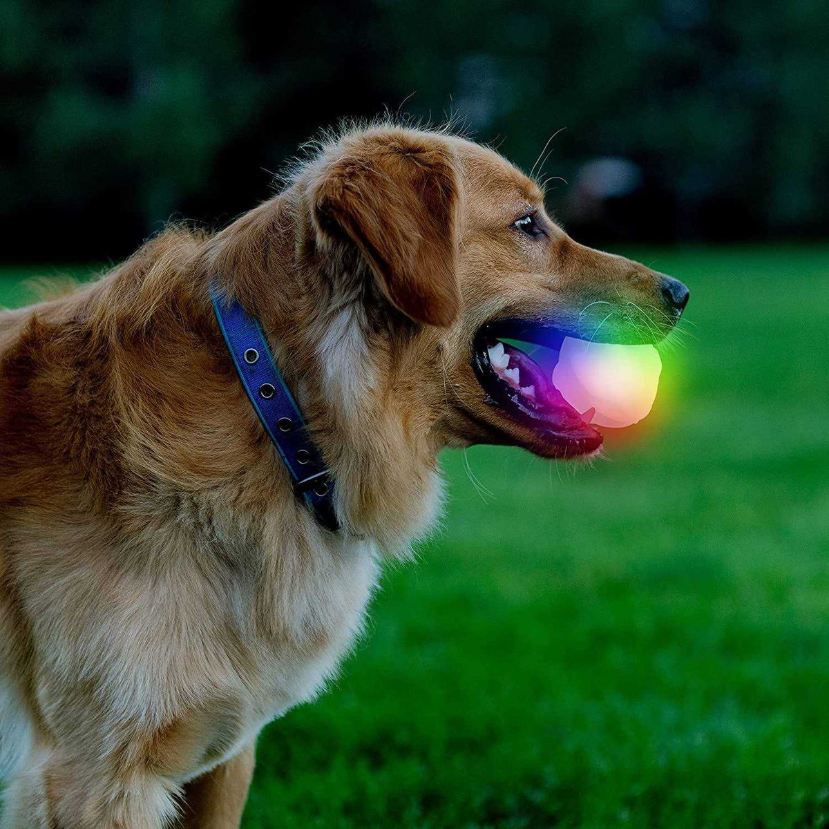 LED Ball E282929