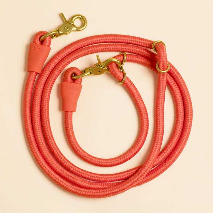 Leash N69095