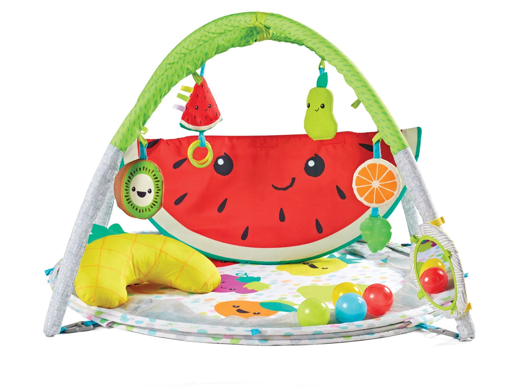 4-in-1 Ball Pit & Play Mat X372