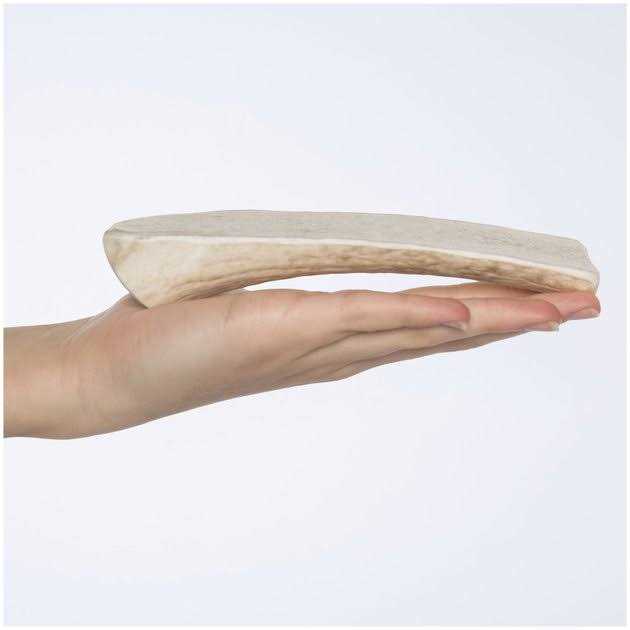 Elk Antler Split Dog Chew E587820