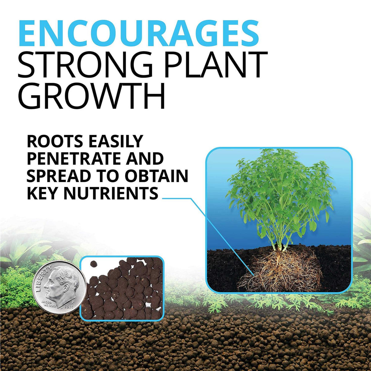 Plant and Shrimp Stratum F10967