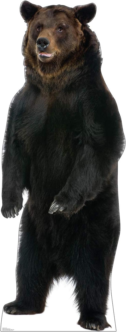 Elephant Life Size Cardboard Cutout Standup Pack of 2 W54623