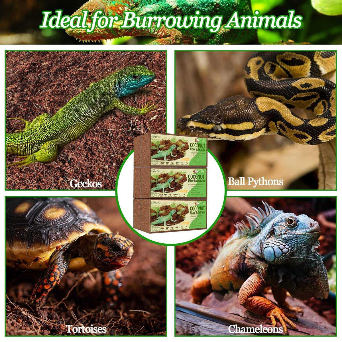 Natural Coconut Fiber Reptile Terrarium Bedding R5507