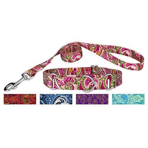 Martingale Dog Collar K864