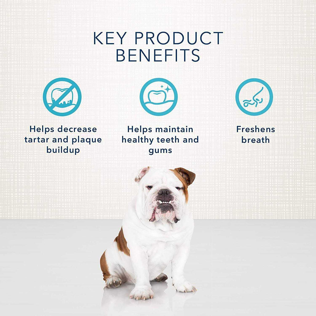 Dental Bones Dog Treats N9347