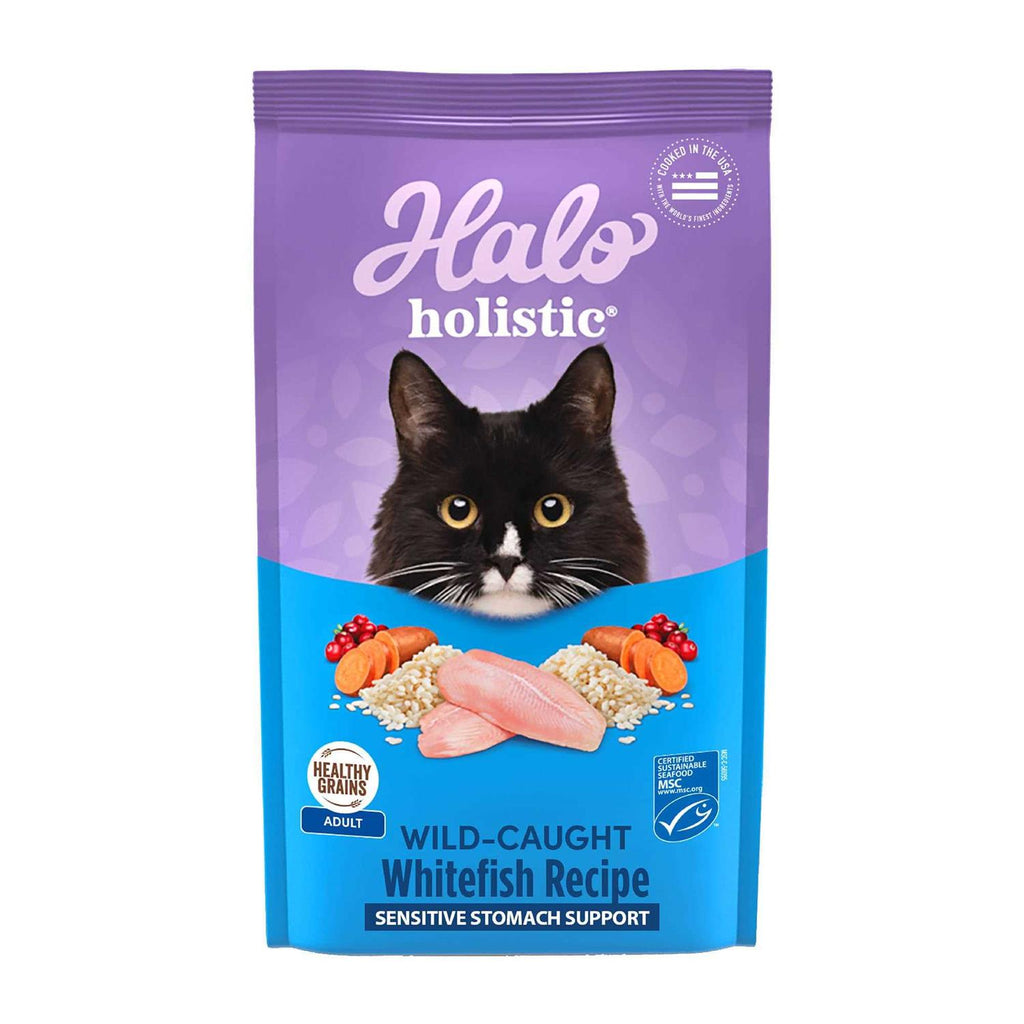 Seafood Sensitive Stomach Dry Cat Food Q3725
