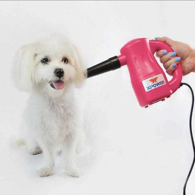 Multipurpose Pet Dryer K321770