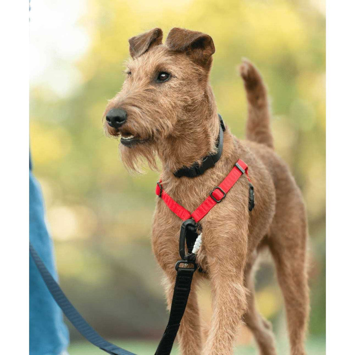 No-Pull Dog Harness O346420