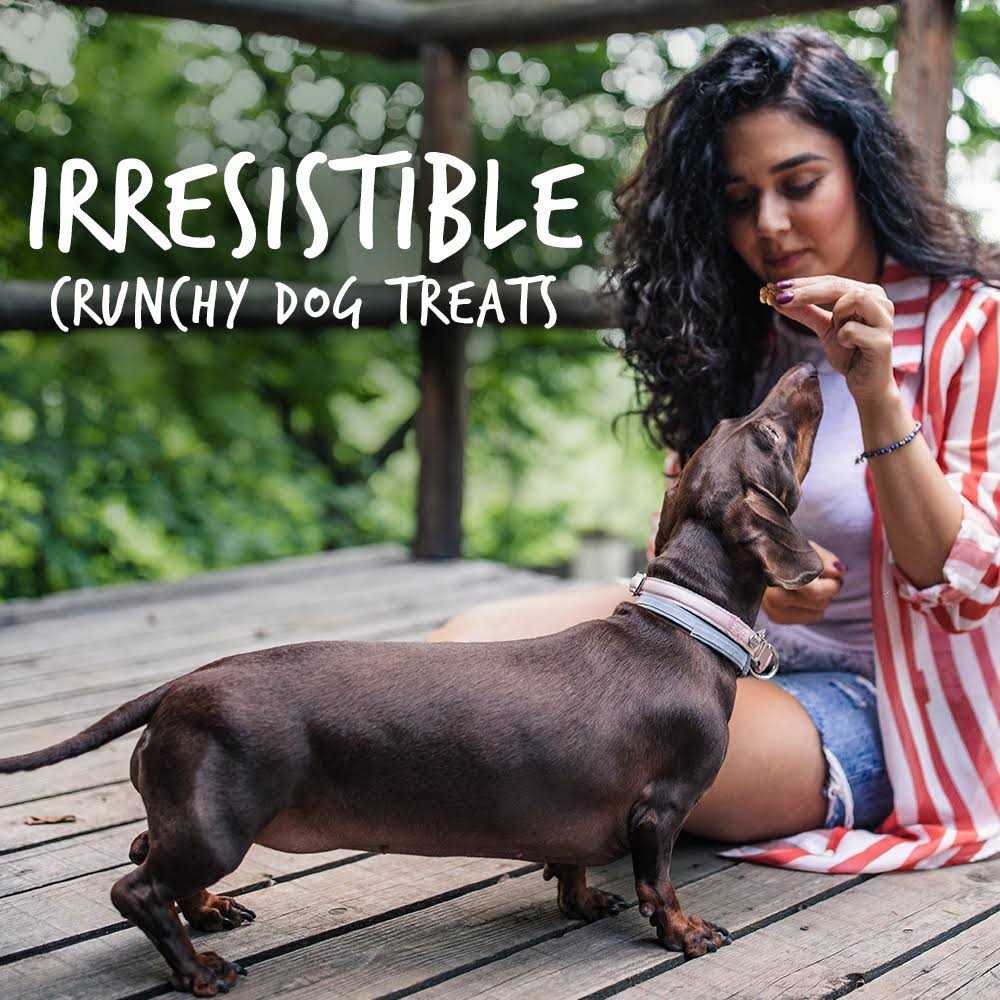 Pumpkin Dog Treats G21664