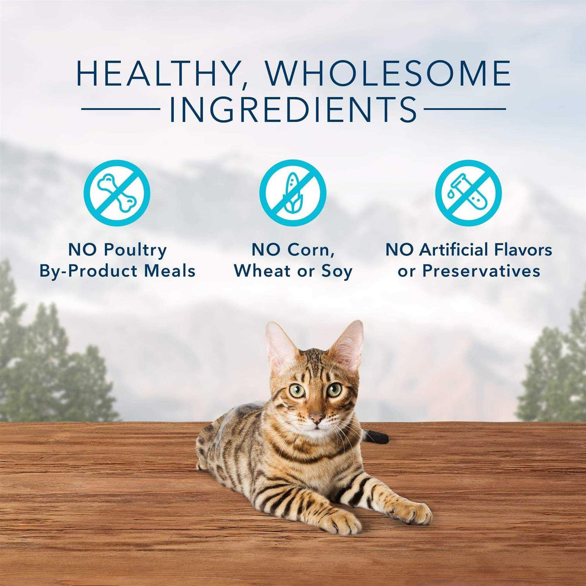 Crunchy Cat Treats T5306