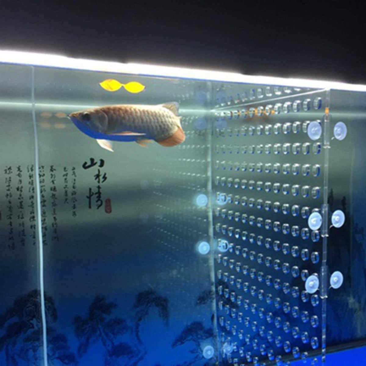 Acrylic Divider with Suction Cups C194