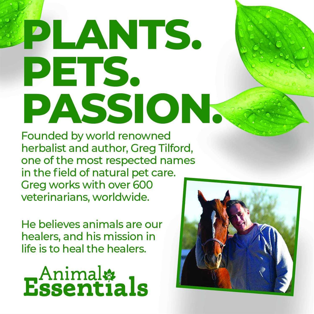 Seaweed Calcium for Dogs and Cats M224932